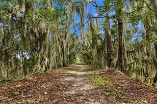 15199 Lake Claire Overlook Dr, Winter Garden, FL 34787 - Photo 89