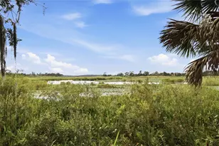 15199 Lake Claire Overlook Dr, Winter Garden, FL 34787 - Photo 91