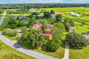 32736 Wolfs Trail, Sorrento, FL 32776 - Photo 53