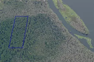 Shad Rd, Astor, FL 32102 - Photo 1