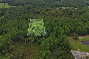 25-26-21-000000-032160, Polk City, FL 33868 - Photo 1