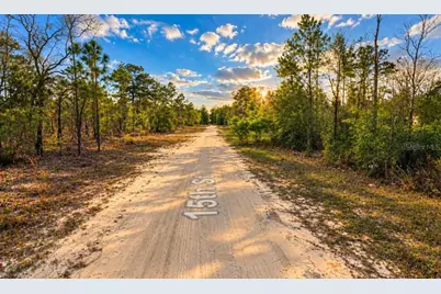 15th St, Interlachen, FL 32148 - Photo 3