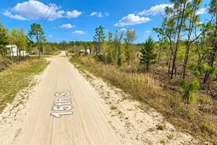 15th St, Interlachen, FL 32148 - Photo 1