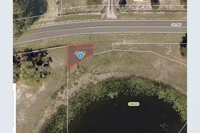 County Road 450, Umatilla, FL 32784 - Photo 1