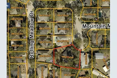 1535 Rolling Meadow Drive, Valrico, FL 33594 - Photo 29