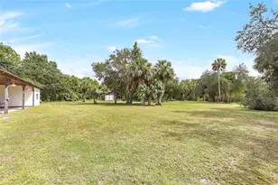 2415 Waccassa St, Geneva, FL 32732 - Photo 15