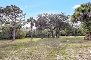 2415 Waccassa St, Geneva, FL 32732 - Photo 41