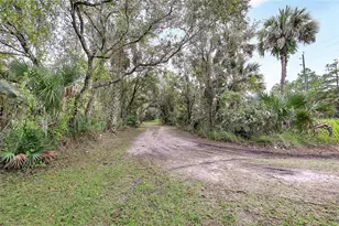 2415 Waccassa St, Geneva, FL 32732 - Photo 11