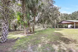 2415 Waccassa St, Geneva, FL 32732 - Photo 49