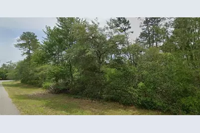 Tbd SW 31 Court, Ocala, FL 34473 - Photo 1