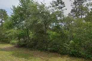 Tbd SW 31 Ct, Ocala, FL 34473 - Photo 1