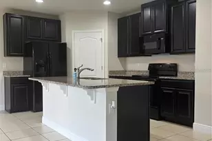 4420 Silver Creek St, Kissimmee, FL 34744 - Photo 3