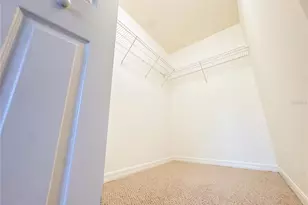 12231 Citruswood Dr, Orlando, FL 32832 - Photo 29