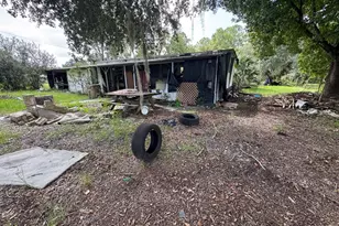 28148 Hibiscus Ave, Paisley, FL 32767 - Photo 39