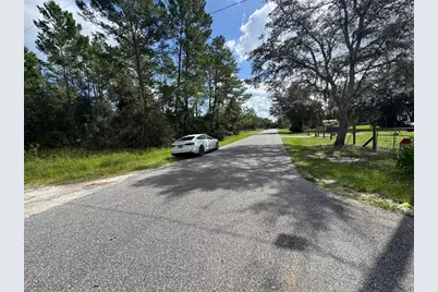 28148 Hibiscus Avenue, Paisley, FL 32767 - Photo 47