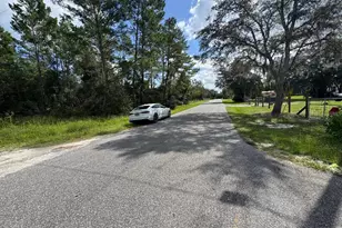 28148 Hibiscus Ave, Paisley, FL 32767 - Photo 47