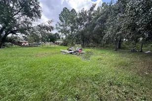28148 Hibiscus Ave, Paisley, FL 32767 - Photo 35