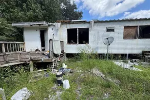 28148 Hibiscus Ave, Paisley, FL 32767 - Photo 31
