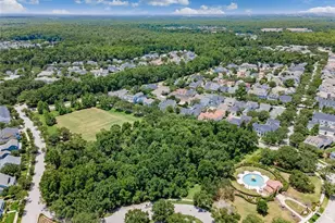855 Blue Sage St, Celebration, FL 34747 - Photo 27