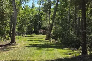 3435 N Hwy 314 A, Silver Springs, FL 34488 - Photo 91