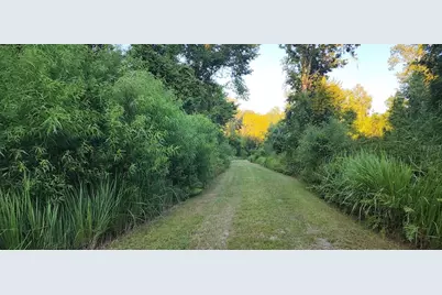 3435 N Highway 314A, Silver Springs, FL 34488 - Photo 69