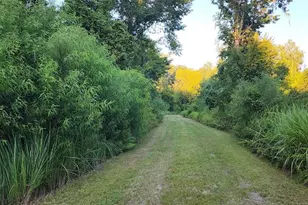 3435 N Hwy 314 A, Silver Springs, FL 34488 - Photo 69