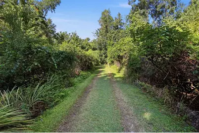 3435 N Highway 314A, Silver Springs, FL 34488 - Photo 89