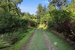3435 N Hwy 314 A, Silver Springs, FL 34488 - Photo 89