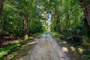 3435 N Hwy 314 A, Silver Springs, FL 34488 - Photo 73