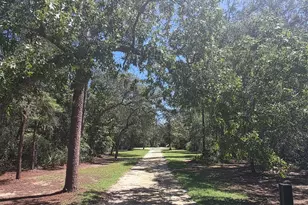 3435 N Hwy 314 A, Silver Springs, FL 34488 - Photo 3