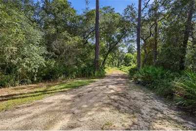 3435 N Highway 314A, Silver Springs, FL 34488 - Photo 83