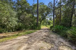 3435 N Hwy 314 A, Silver Springs, FL 34488 - Photo 83