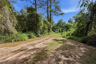 3435 N Hwy 314 A, Silver Springs, FL 34488 - Photo 81