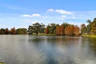 150 Hammock Preserve Loop, Oakland, FL 34787 - Photo 37