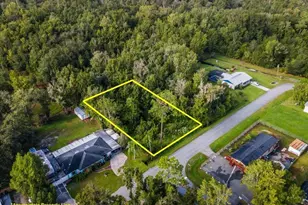 0 Wile Ave, Intercession City, FL 33848 - Photo 1