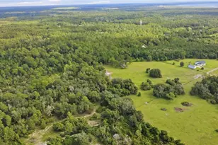 Seneca Oaks Trail, Geneva, FL 32732 - Photo 1