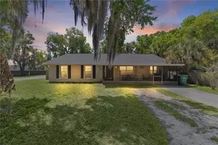1124 N Grant Ave, Mount Dora, FL 32757 - Photo 1