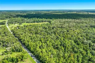 425 S Fort Christmas Rd, Christmas, FL 32709 - Photo 7