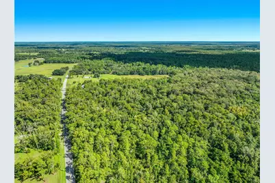 425 S Fort Christmas Road, Christmas, FL 32709 - Photo 9
