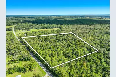 425 S Fort Christmas Road, Christmas, FL 32709 - Photo 3