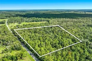 425 S Fort Christmas Rd, Christmas, FL 32709 - Photo 3