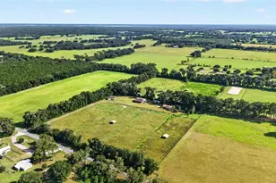 20540 SW 5th Pl, Dunnellon, FL 34431 - Photo 55