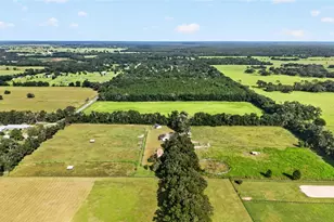 20540 SW 5th Pl, Dunnellon, FL 34431 - Photo 53