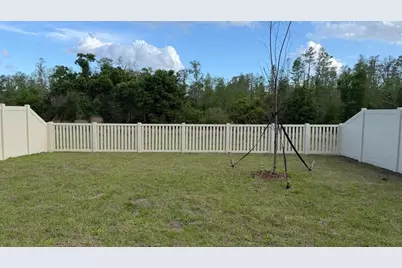 17602 Pleasantview Boulevard, Land O Lakes, FL 34638 - Photo 19