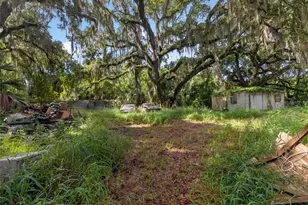 4020 Magnolia Dr, Leesburg, FL 34748 - Photo 25