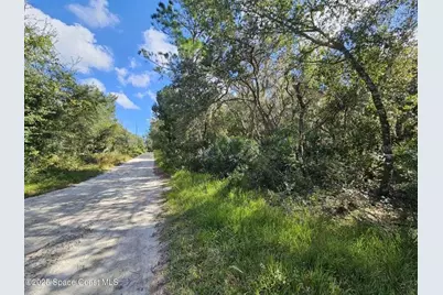 4600 Beacon Light Road, Edgewater, FL 32141 - Photo 7