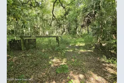 4600 Beacon Light Road, Edgewater, FL 32141 - Photo 9