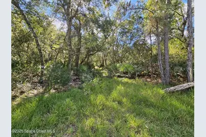 4600 Beacon Light Road, Edgewater, FL 32141 - Photo 11