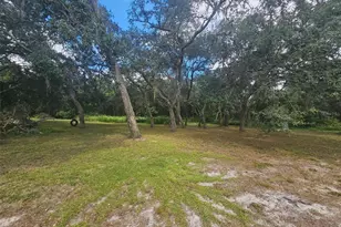 9485 Rousseau St, Webster, FL 33597 - Photo 15