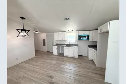 9485 Rousseau Street, Webster, FL 33597 - Photo 5